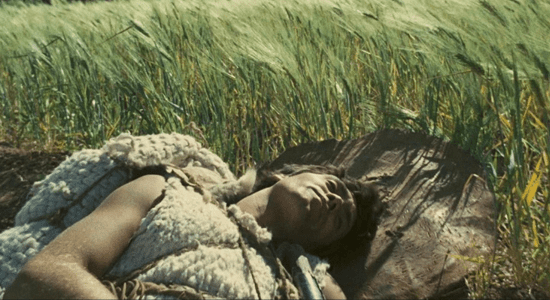 seminario-pasolini-educa-tu-mirada
